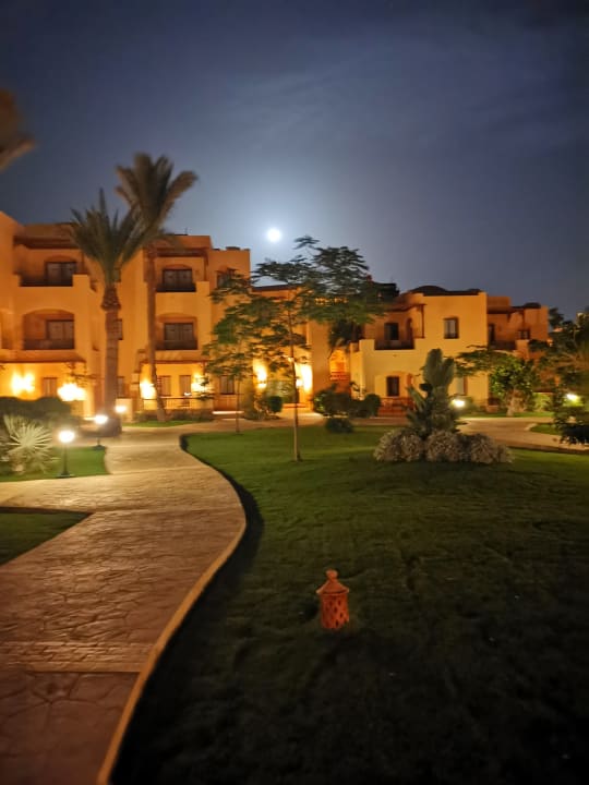 Gartenanlage Steigenberger Coraya Beach - Adults only