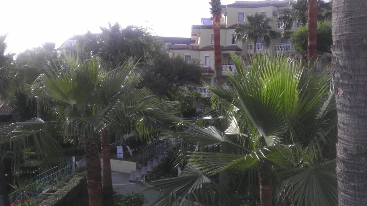 Mit Hotel Iz Flower Side Beach Hotel