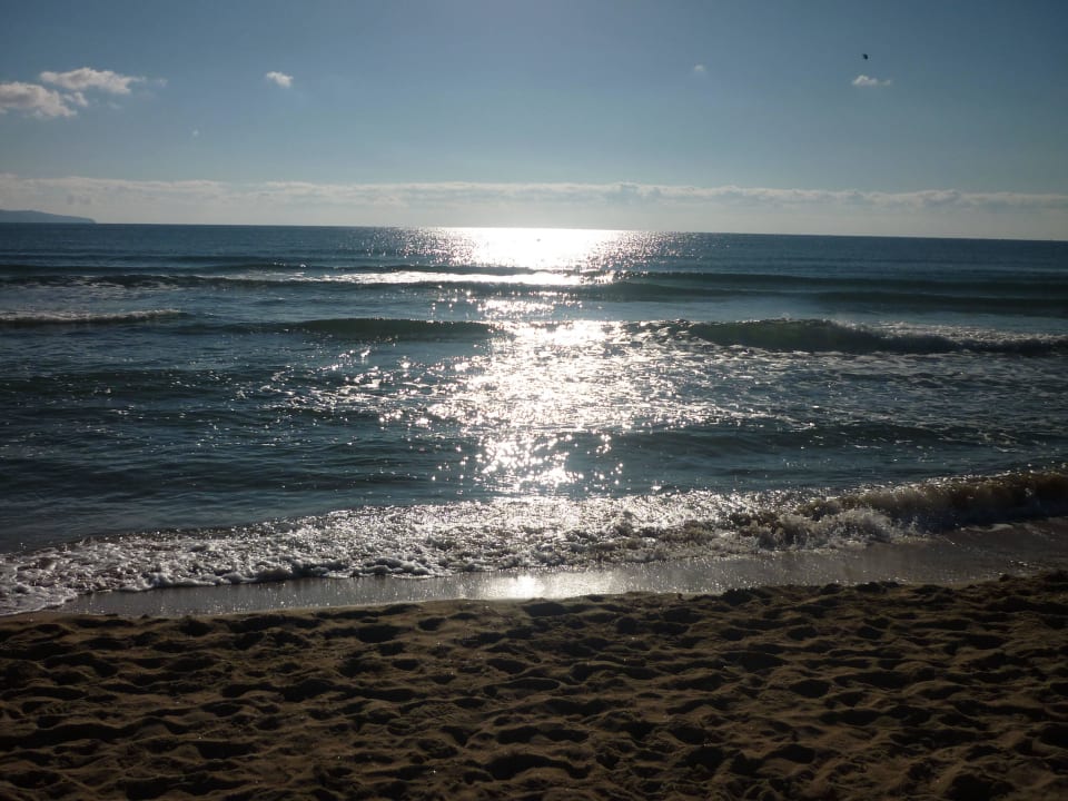 Sonnenaufgang Meliá Sunny Beach