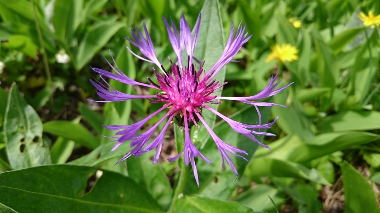 Außenansicht Sonnhof Reit im Winkl