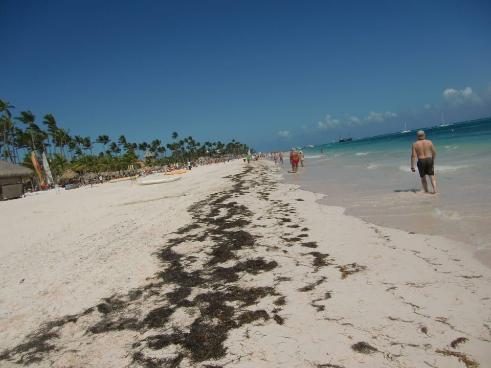 So siehts bei den Nachbarhotels aus Secrets Royal Beach Punta Cana - Adults only