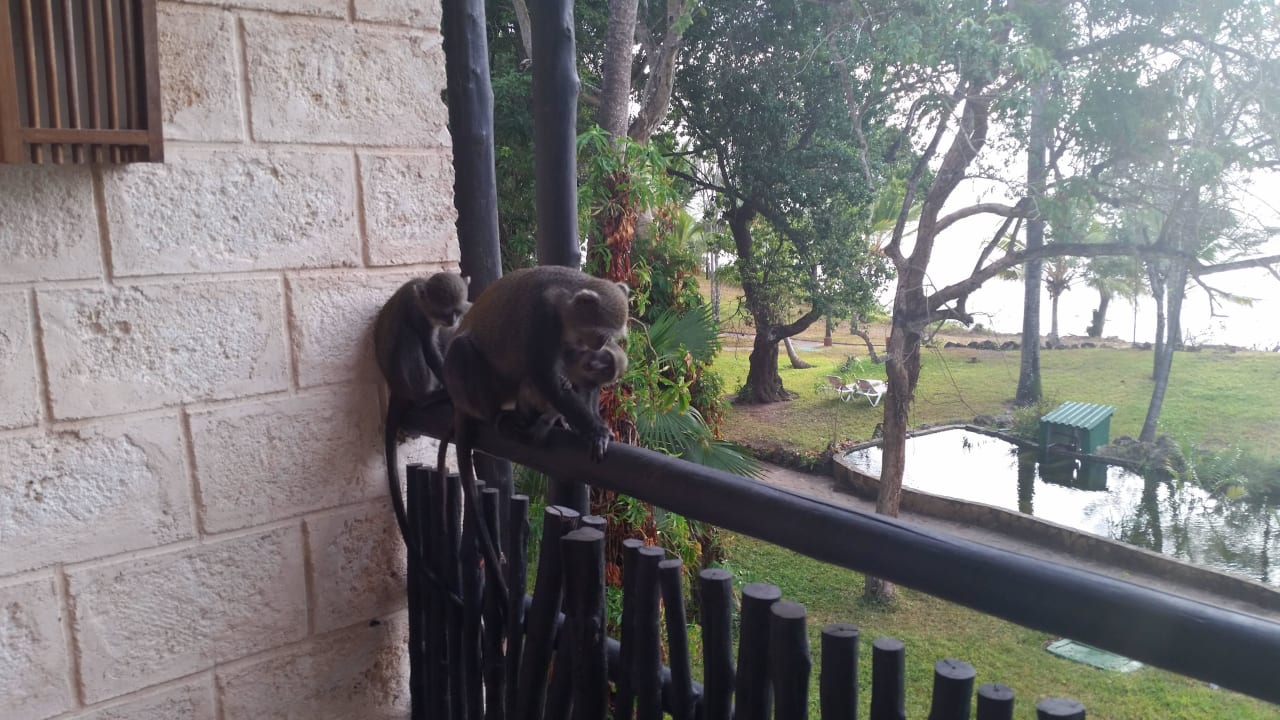 Hotel Baobab Beach Resort Baobab Beach Resort & Spa