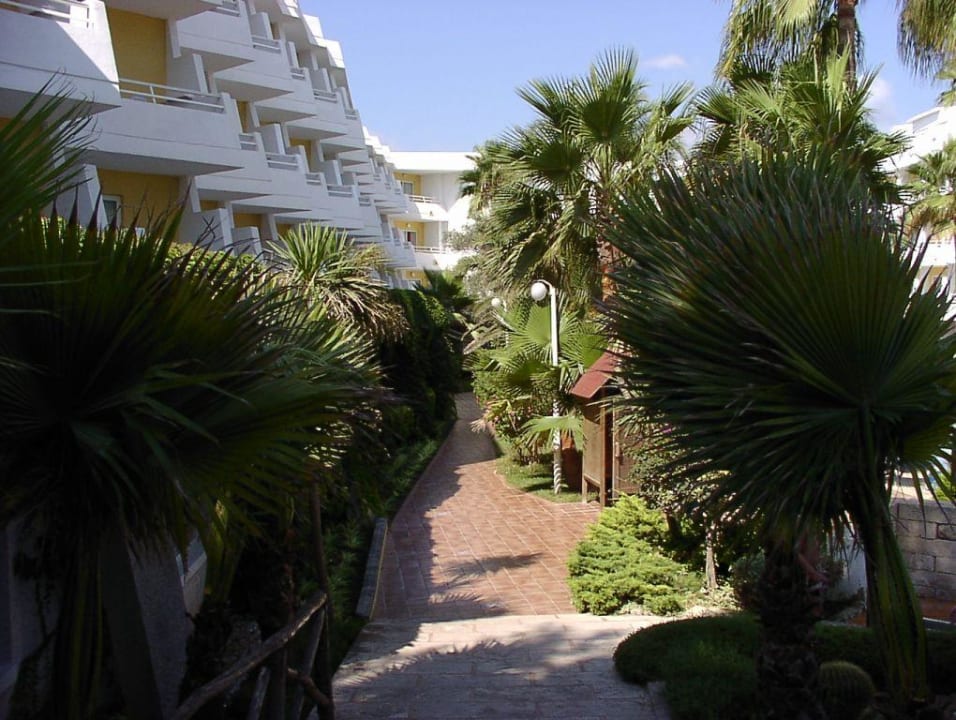 Vom Pool Richtung Haupthaus Iberostar Waves Playa de Muro