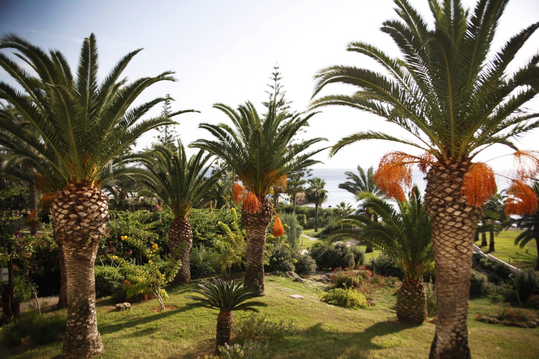 Blick aus dem Zimmer Hotel Nissi Beach Resort