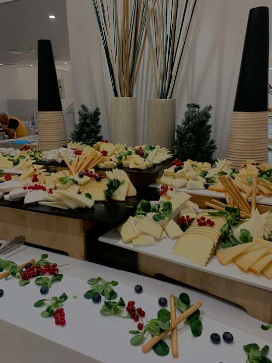 Gastro Aparthotel Fontanellas Playa