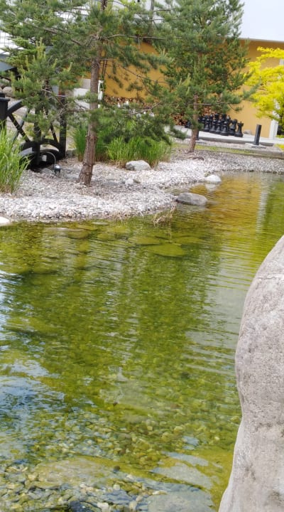 Gartenanlage Hotel Panorama Royal