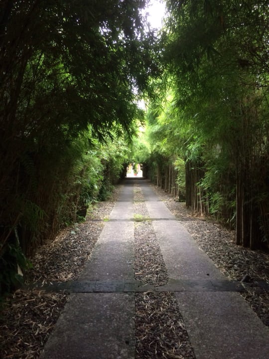 Außenansicht Hotel The Pavillions