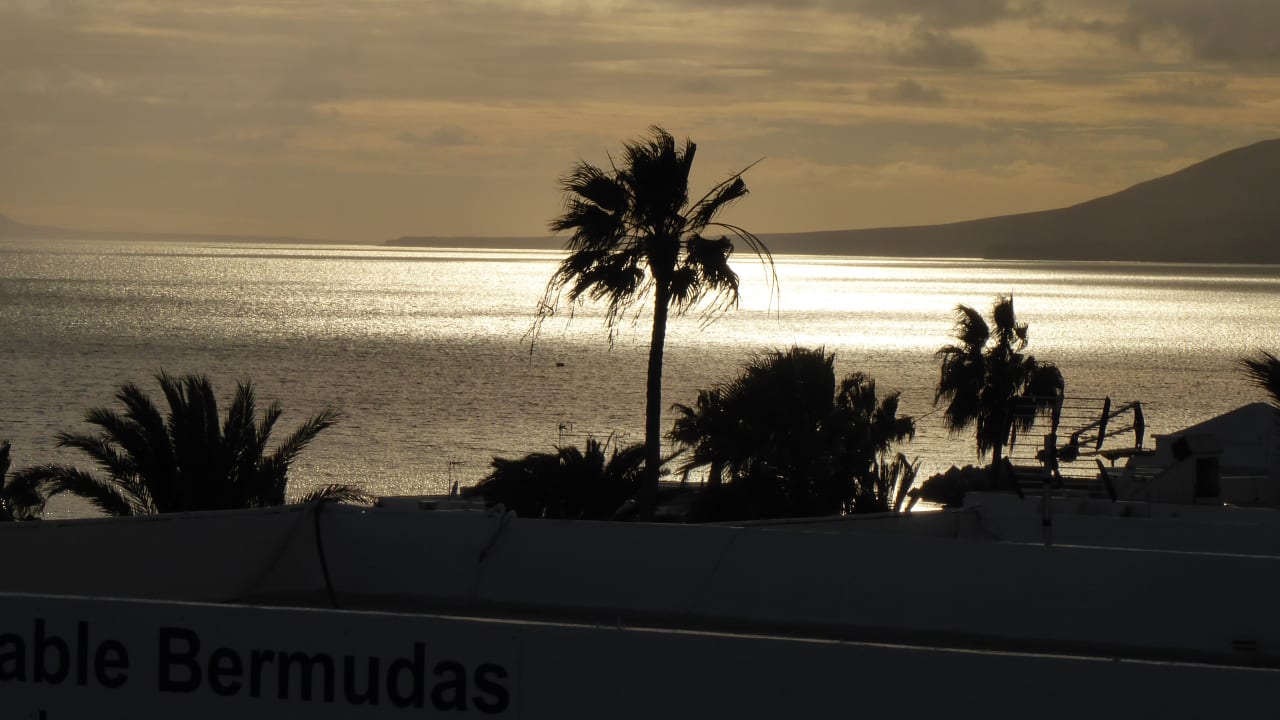 Ausblick Ereza Apartamentos Los Hibiscos- Adults Only