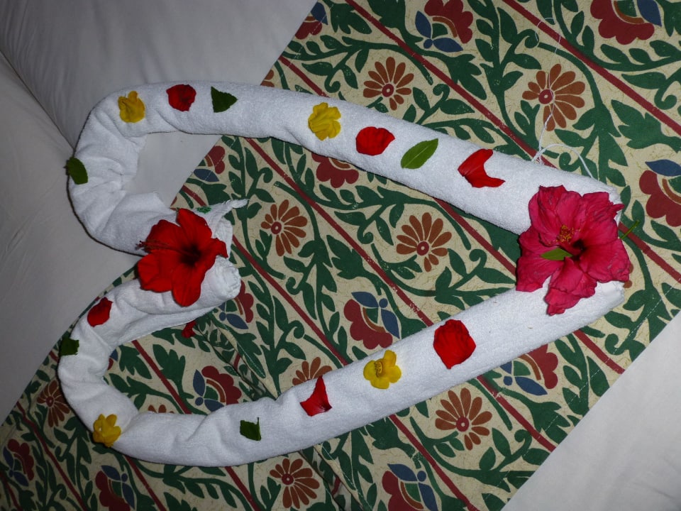 Handtuchkreation Jaz Makadi Oasis Resort