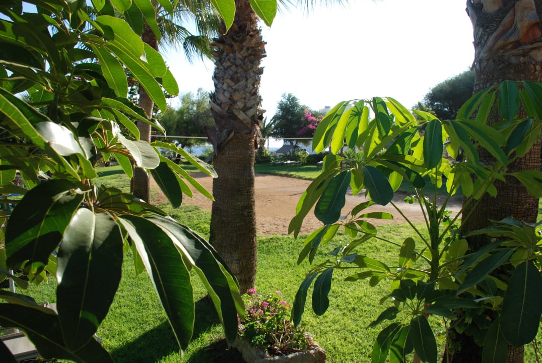 Garden Crystal Springs Beach Hotel