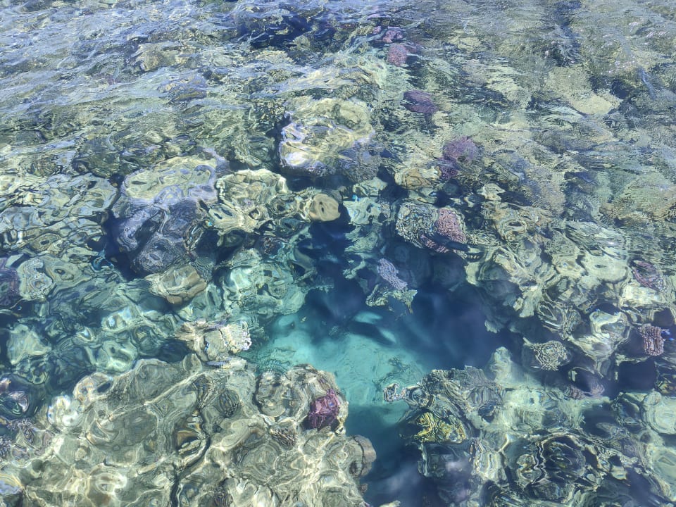 Sport & Freizeit Steigenberger Coraya Beach - Adults only