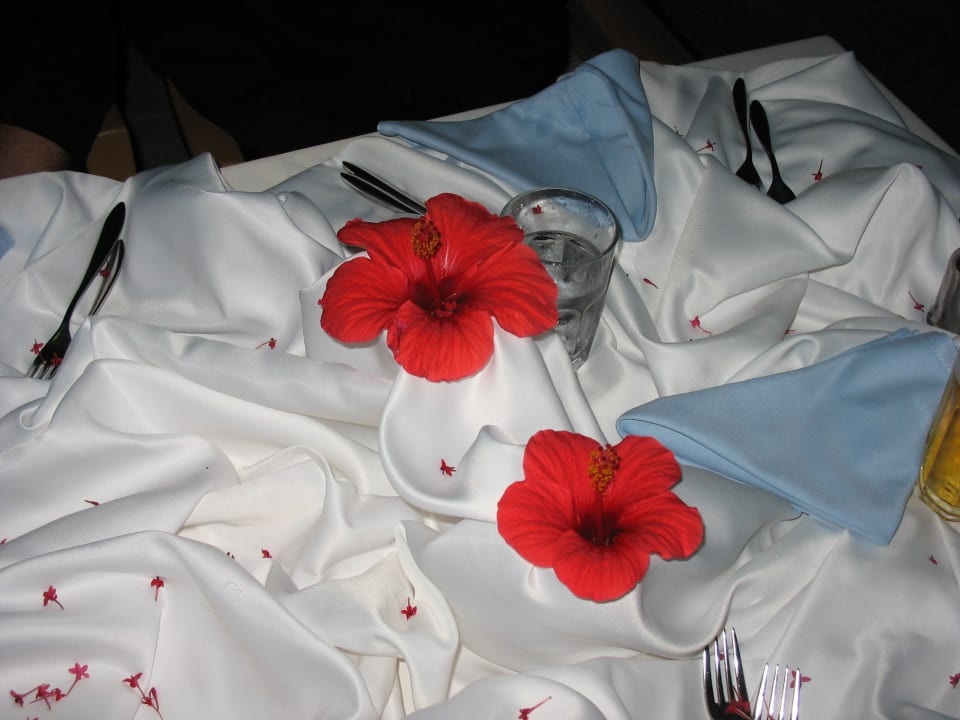 Tisch am Pool Alaiye Resort & Spa