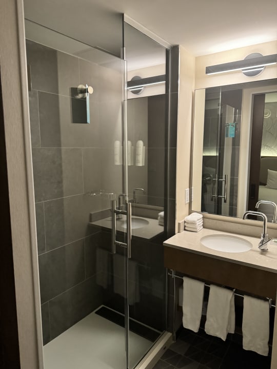 Zimmer SpringHill Suites by Marriott New York Manhattan Chelsea