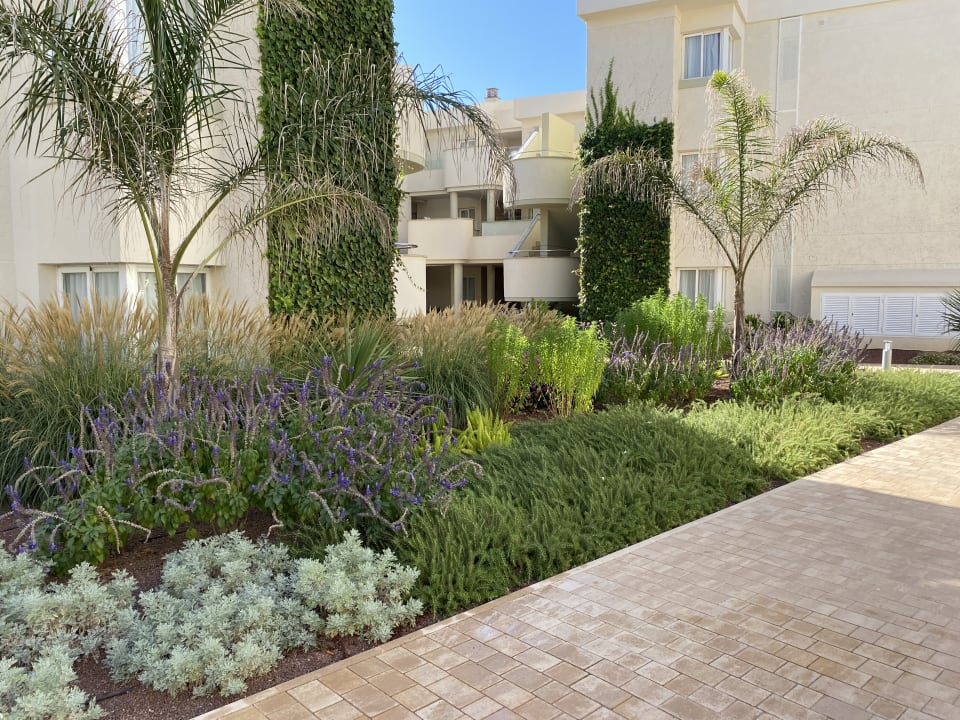 Gartenanlage Hipotels Mediterraneo Club