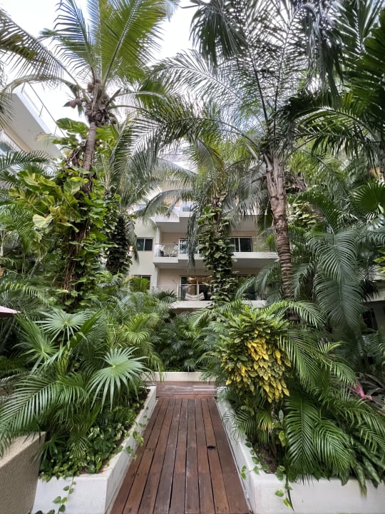Gartenanlage Hotel The Palm at Playa
