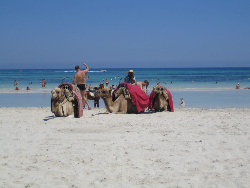 Hotel - Strand Iberostar Waves Mehari Djerba