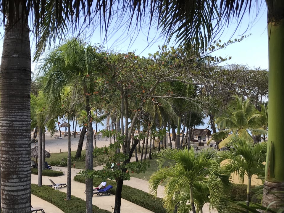 Blick vom Balkon Zimmer Nr. 6216 Iberostar Waves Costa Dorada