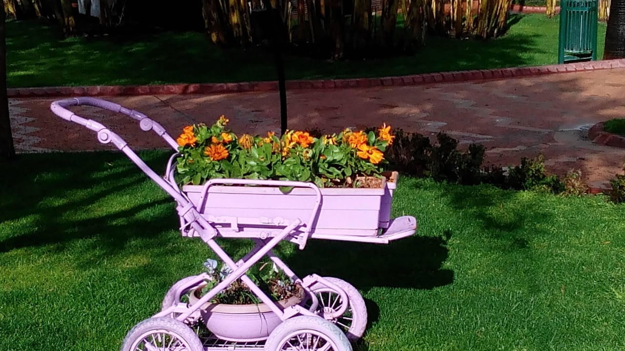 Überall gab es so tolle sachen Limak Limra Hotel & Resort