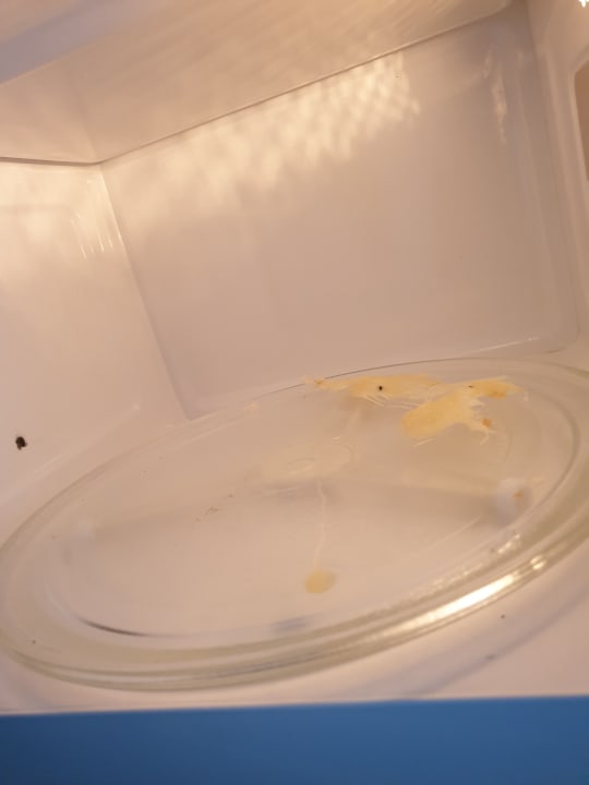 Zimmer Appart'Hôtel Mercure la Défense Grande Arche