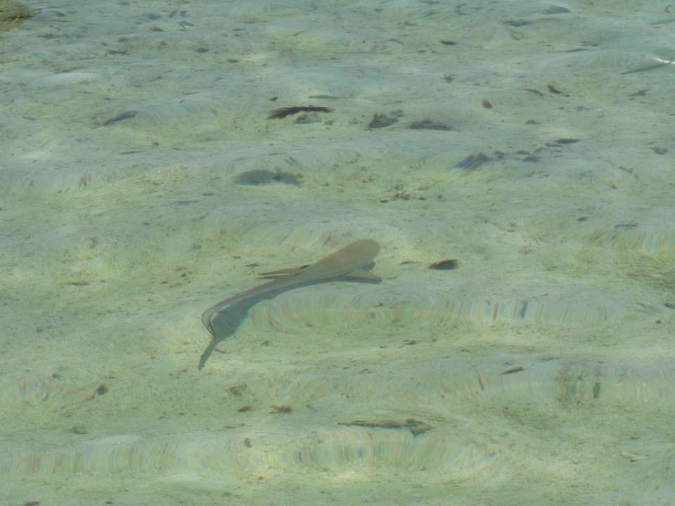 Hai Summer Island Maldives