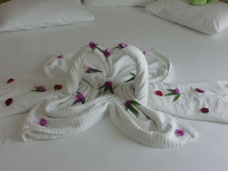 Dekoration jeden Tag Neu Jiva Beach Resort