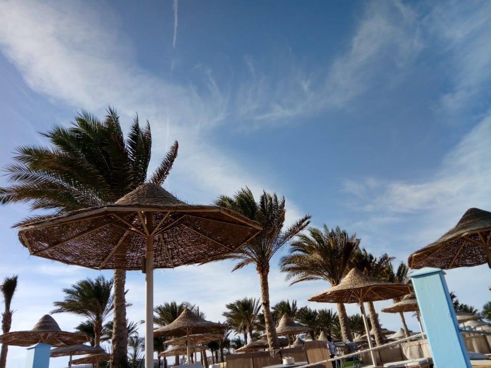 Strand Pickalbatros Royal Moderna Resort-Sharm El Sheikh