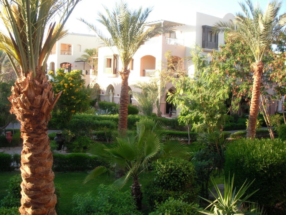 Gartenanlage Jaz Makadi Oasis Resort