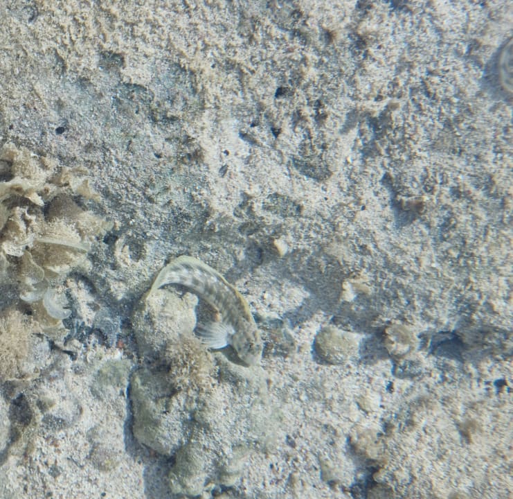 Strand Three Corners Sea Beach Resort