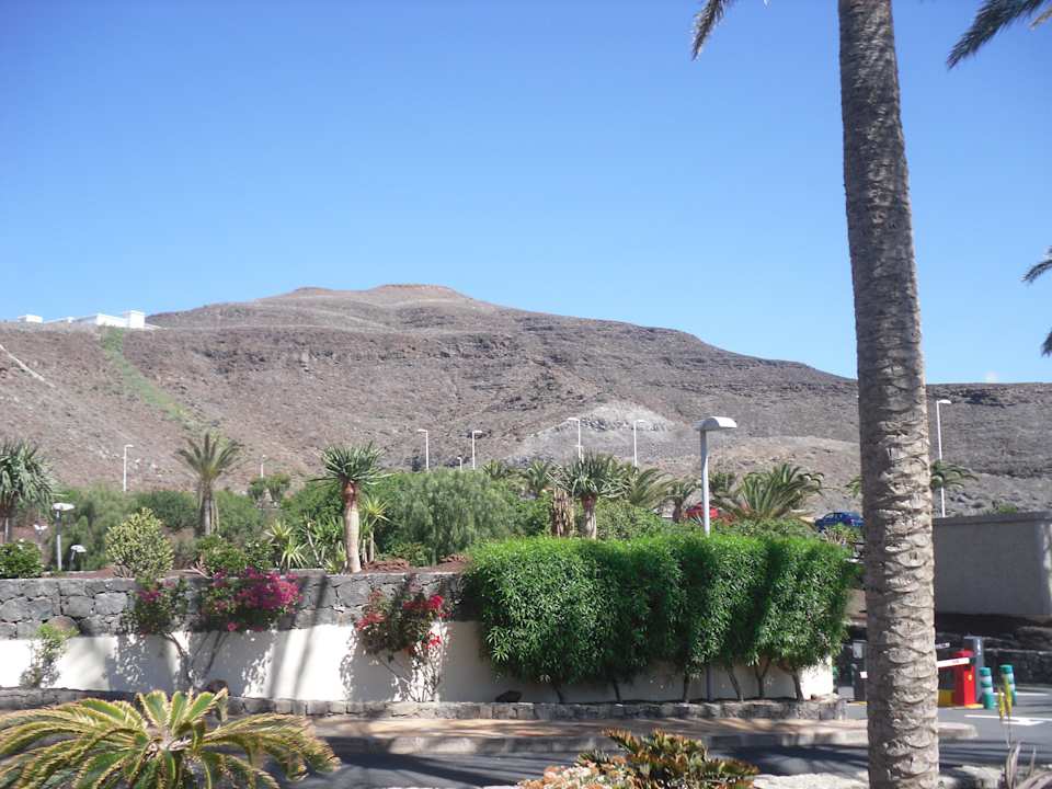 Aussicht Occidental Jandía Mar