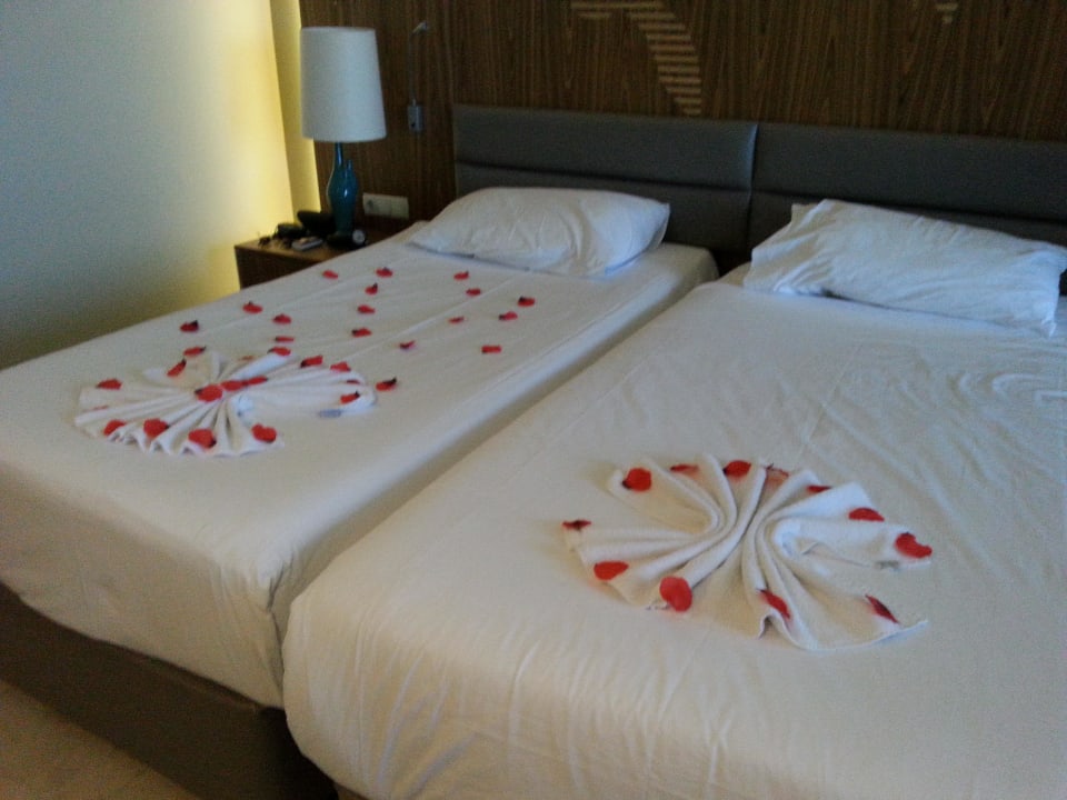 Zimmerdeko PALOMA Perissia