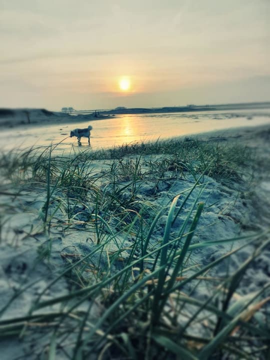 Strand Beach Motel St. Peter-Ording