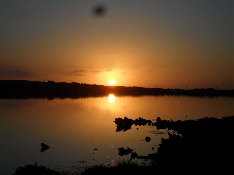 Lo stagno esterno Country Paradise Residence