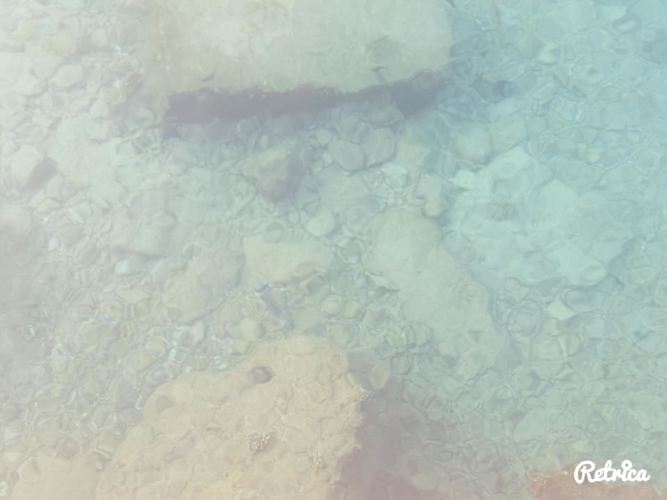 Korallen Arabella Azur Resort