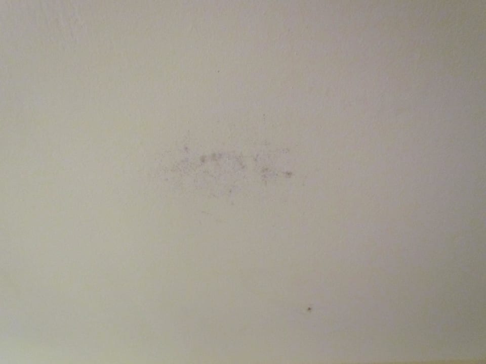 Schimmel an der Wand  Ilunion Sancti Petri