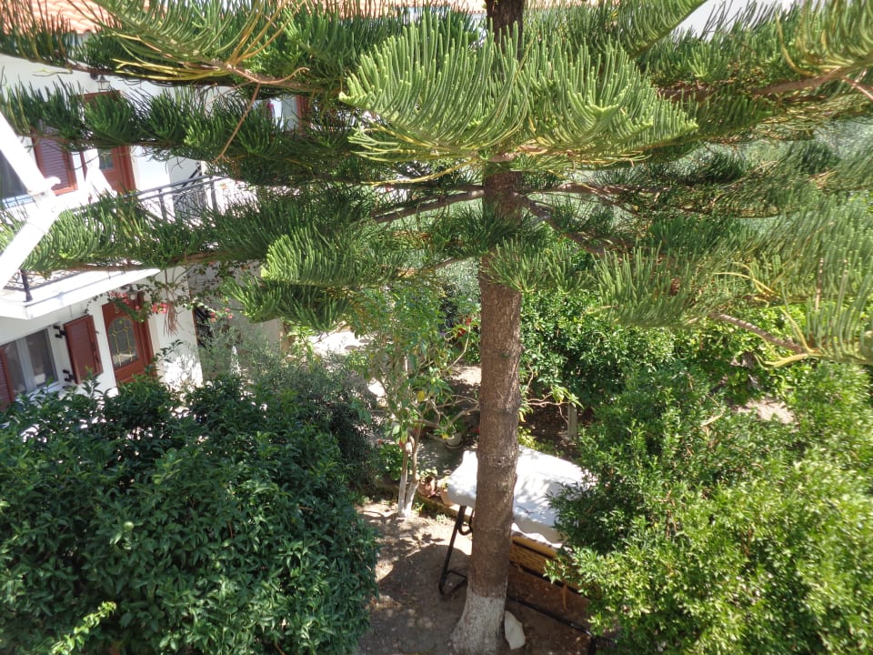 Gartenanlage Katerina Apartments