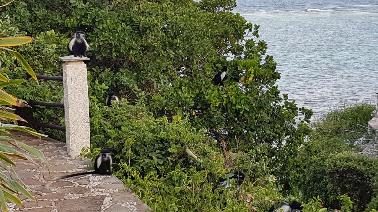 Gartenanlage Leopard Beach Resort & Spa