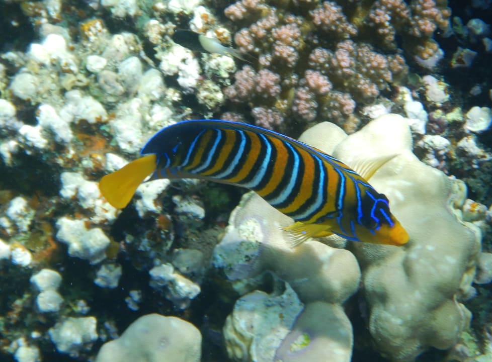 Sport & Freizeit Grand Makadi