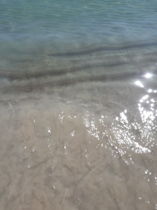 Strand allsun Hotel Eden Alcudia