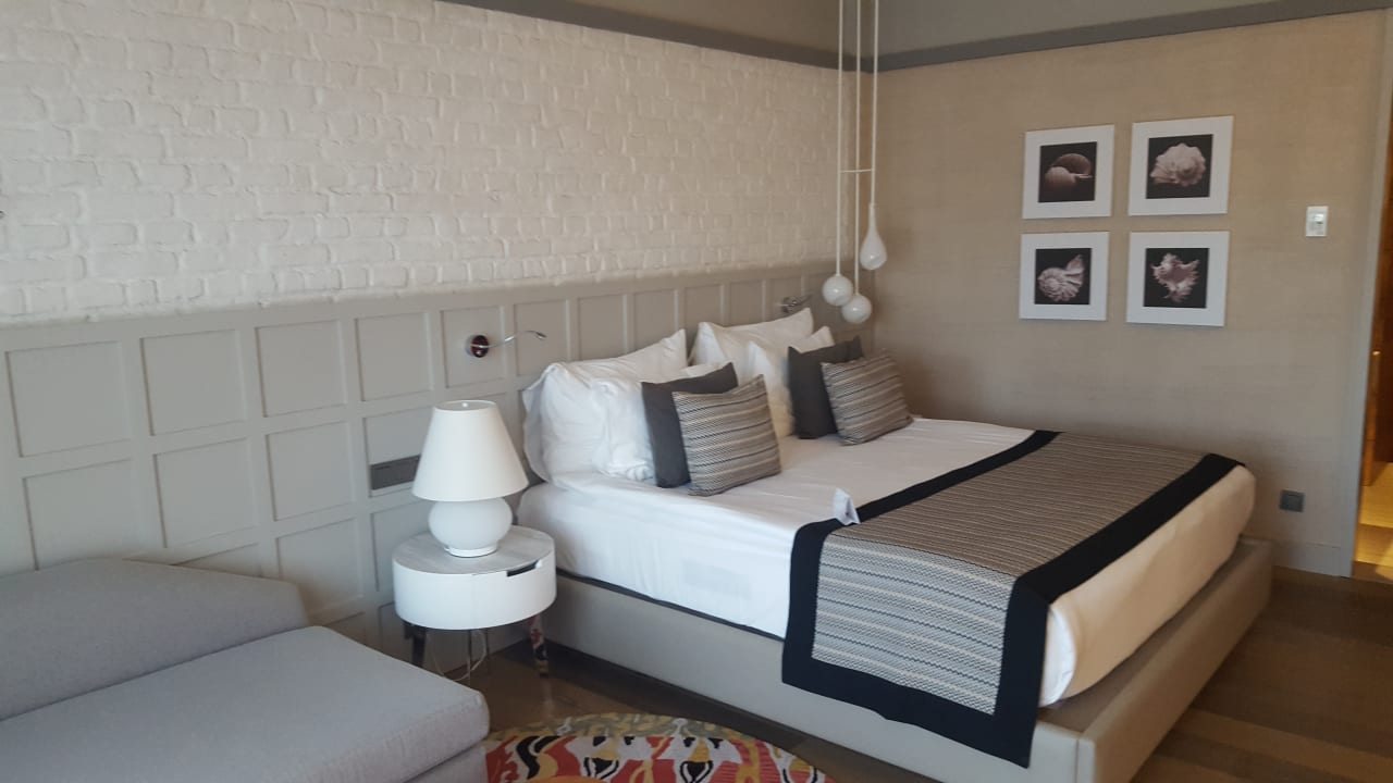 Zimmer Acanthus Cennet Barut Collection