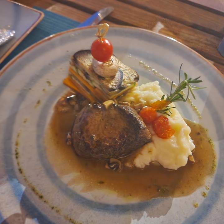 Gastro JAZ Elite Asteria
