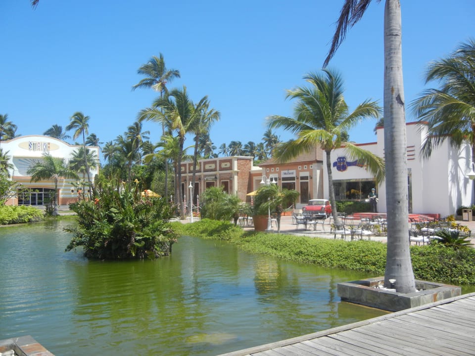 Teichanlage nahe der Lobby Ocean Blue & Sand