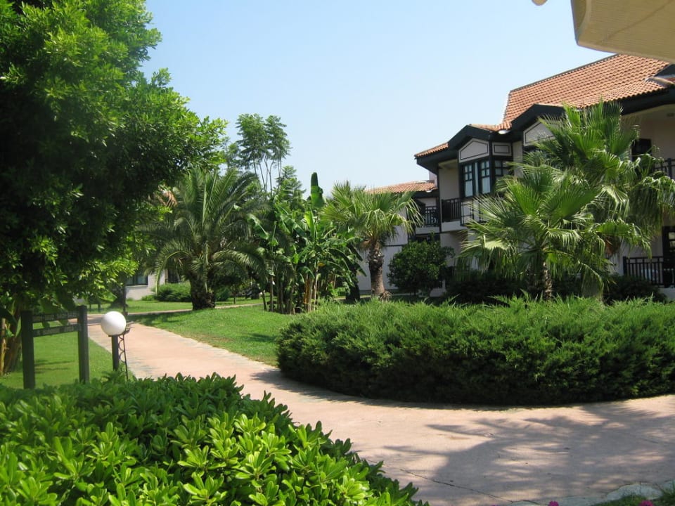 Ogród (przy duplexach) Starlight Resort Hotel