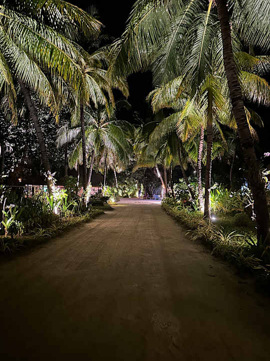 Gartenanlage Kuredu Island Resort & Spa