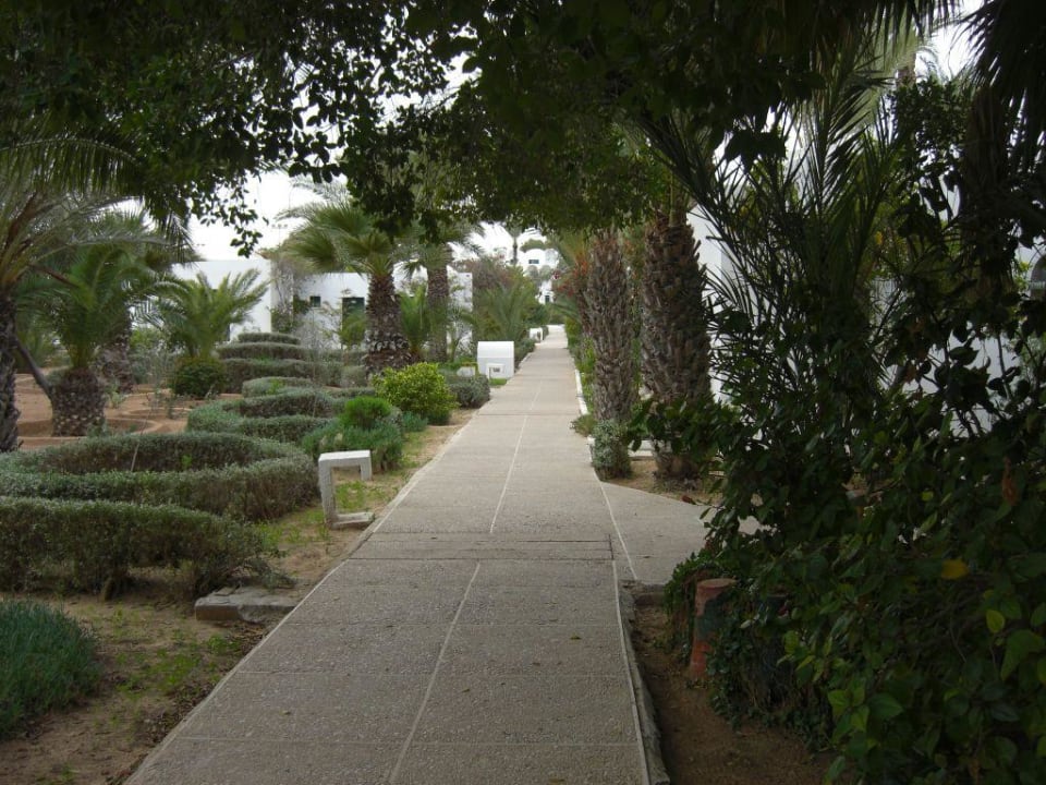 Gartenanlage Hotel Sangho Club Zarzis