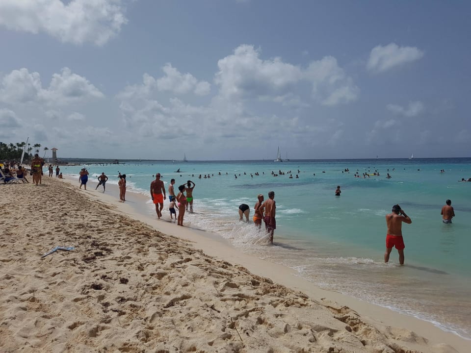 Strand Hotel Viva Dominicus Palace by Wyndham-All Inclusive Resort