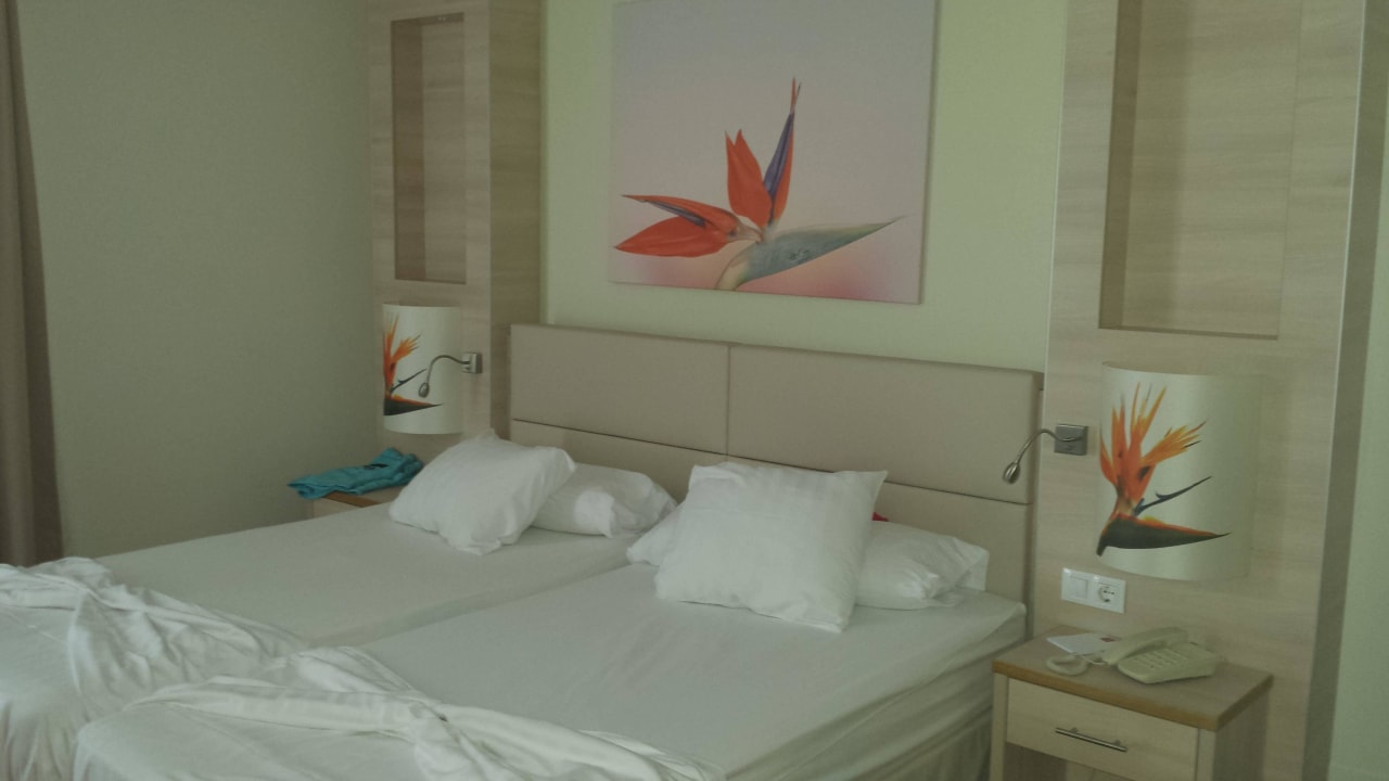 Zimmer Bull Costa Canaria & Spa - Adults only