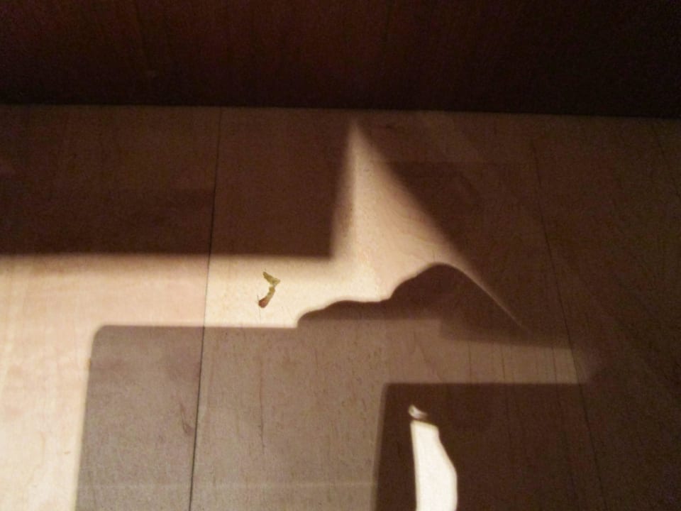 Der Nasenpopel Hotel Zum Schiff