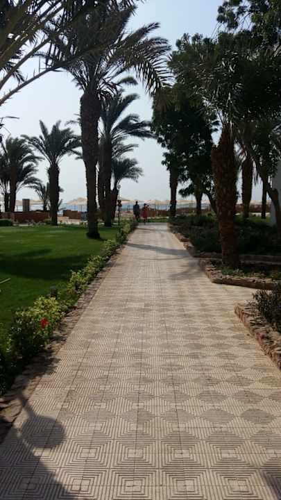 Ausblick Menaville Safaga