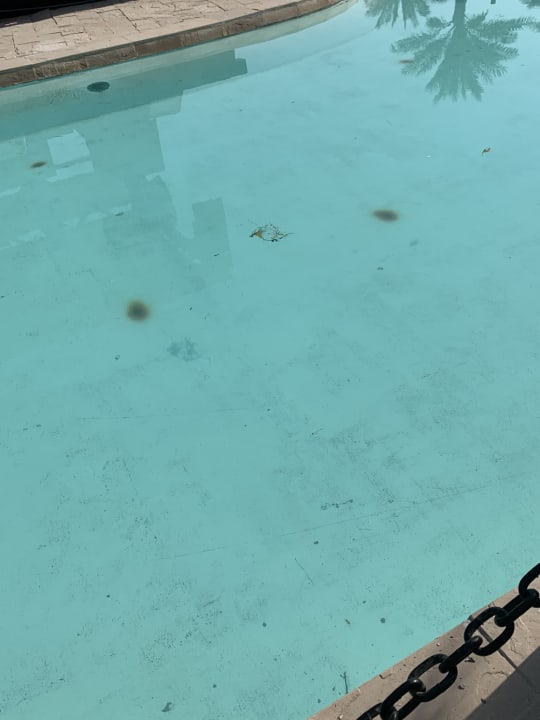 Pool Rixos Bab Al Bahr