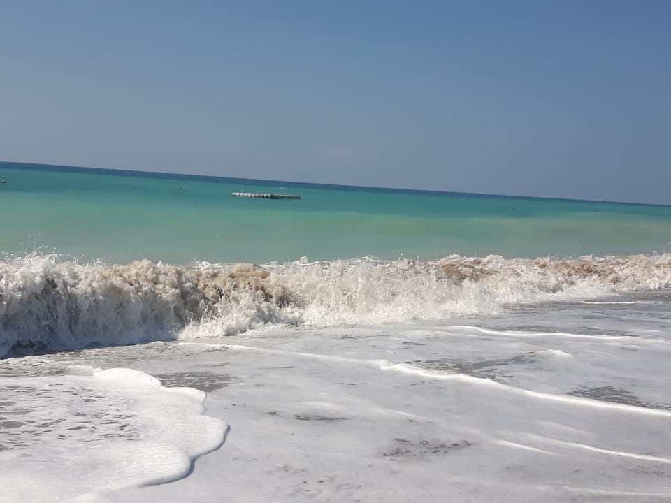 Strand Paloma Finesse